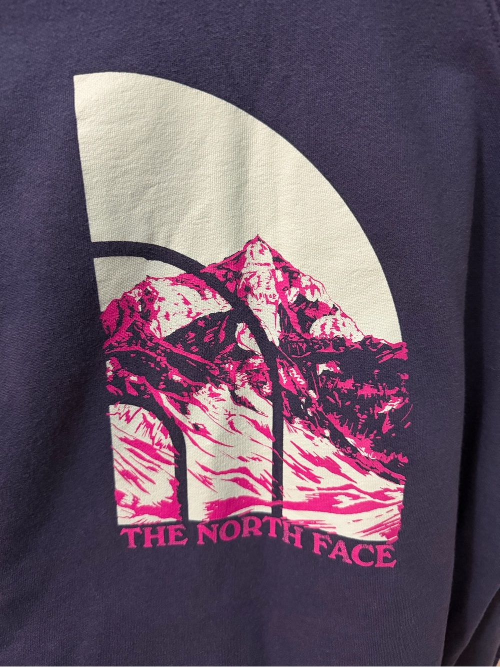 The North Face Yosemite Half Dome Graphic Hoodie